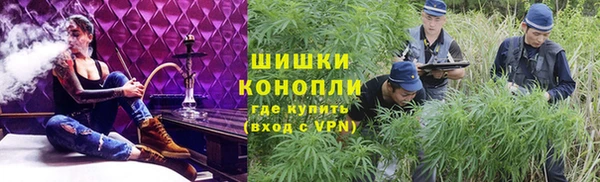 спайс Баксан